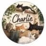 Аватарка Charlie